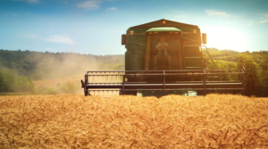 Banco negou a prorrogação da dívida rural: o que fazer