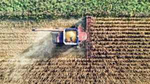 Cédula de crédito rural: o que é e como funciona a cobrança