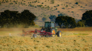 Penhora de propriedade rural por dívida bancária: quando pode acontecer
